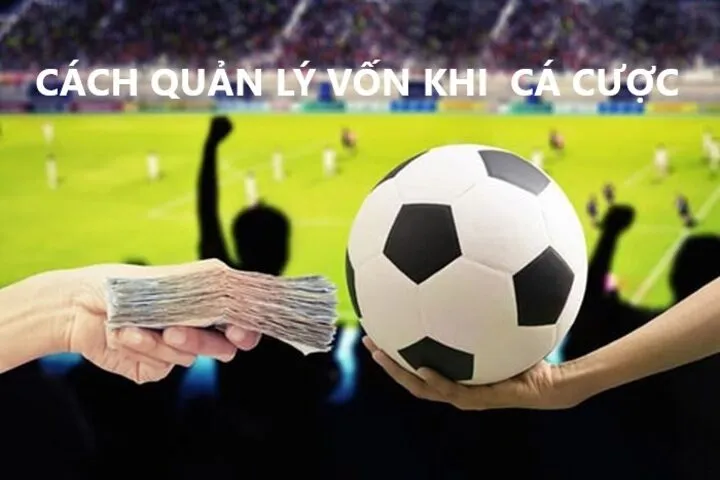 Bật mí Cách quản lý vốn khi cá cược hiệu quả