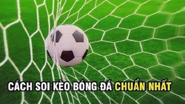 Kinh nghiệm hữu hiệu khi Soi kèo bóng đá