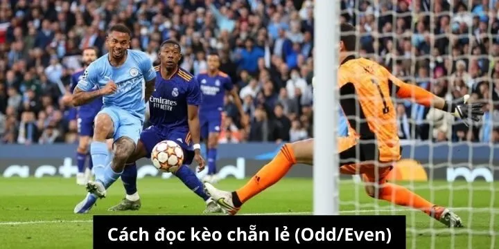 Hội viên cần theo dõi để chọn kèo chẵn lẻ (Odd/Even) phù hợp