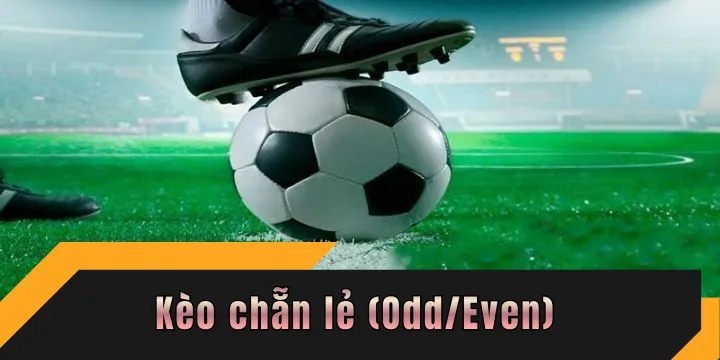 Kèo chẵn lẻ (Odd/Even) - Quy tắc tính kết quả chắc chắn ăn tiền