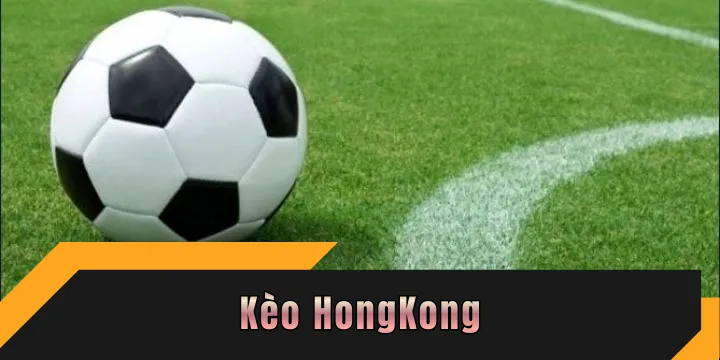 Kèo HongKong M88 giúp bạn nắm chắc lợi nhuận 10 con số
